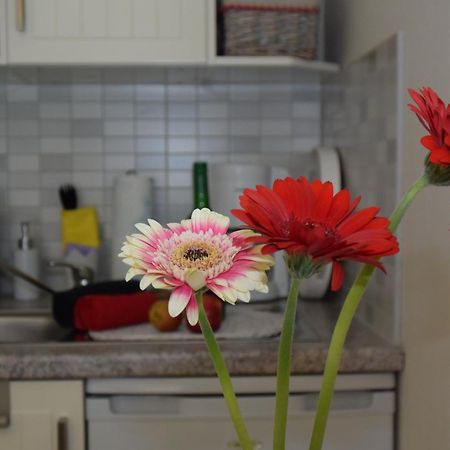 Ferienapartments Urlaub und Meer Ostseebad Kühlungsborn Zimmer foto